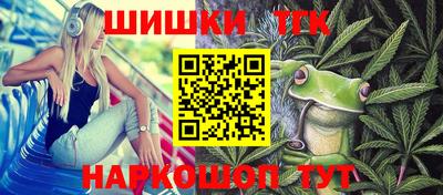 ешки Боровичи