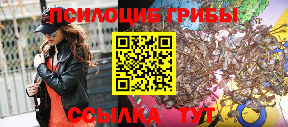 Галлюциногенные грибы ЛСД Лысьва